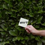 Freelance Brand/Business Scaling